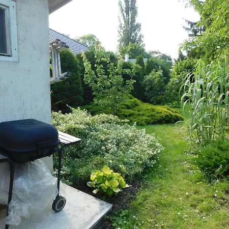 Aranyalma * Gárdony