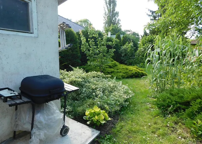 Aranyalma * Gárdony